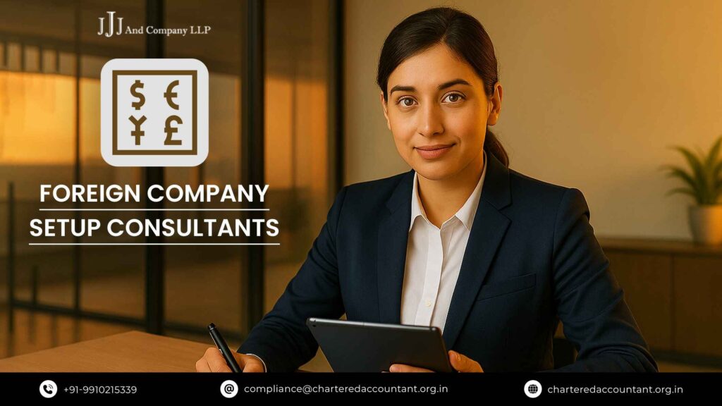 Foreign Company Setup Consultants
